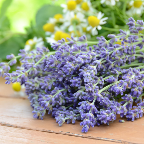 Room Spray Base - Lavender