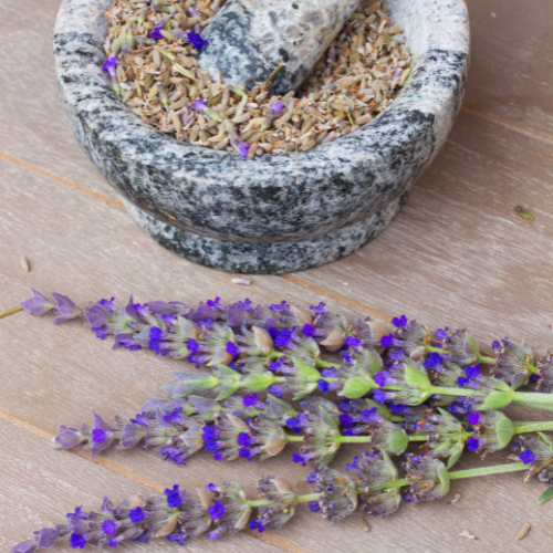 Reed Solution Base - Lavender
